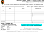 Open Team Entry Form